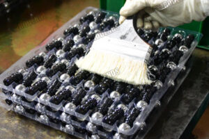 Production process 4